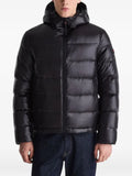 Peuterey Honova LKS hooded padded jacket